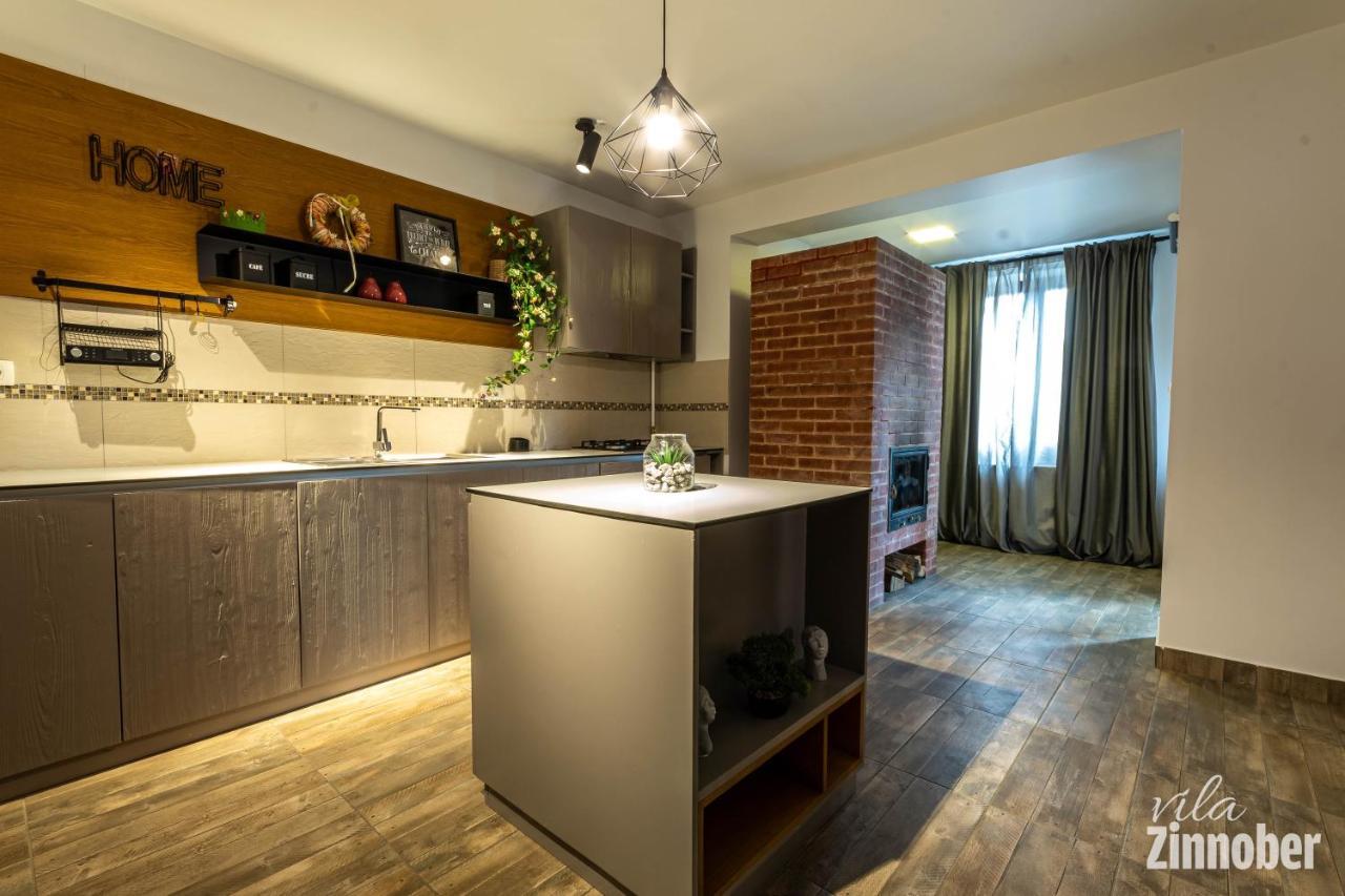 Vila Zinnober Braşov Buitenkant foto